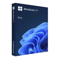Microsoft Windows 11 Professional 64 Bit ENG Intl 1PK DSP OEI DVD